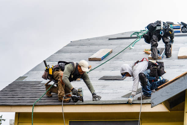 Professional Roofing technician working in Ottawa Lake, MI